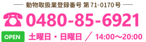 動物取扱業登録番号第71  OPEN 土曜日・日曜日0480-85-6921-0170号  14:00〜20:00