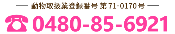 電話番号