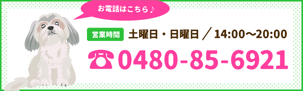 お電話はこちら 営業時間 土曜日/日曜日 14:00〜20:00 0480-85-6921